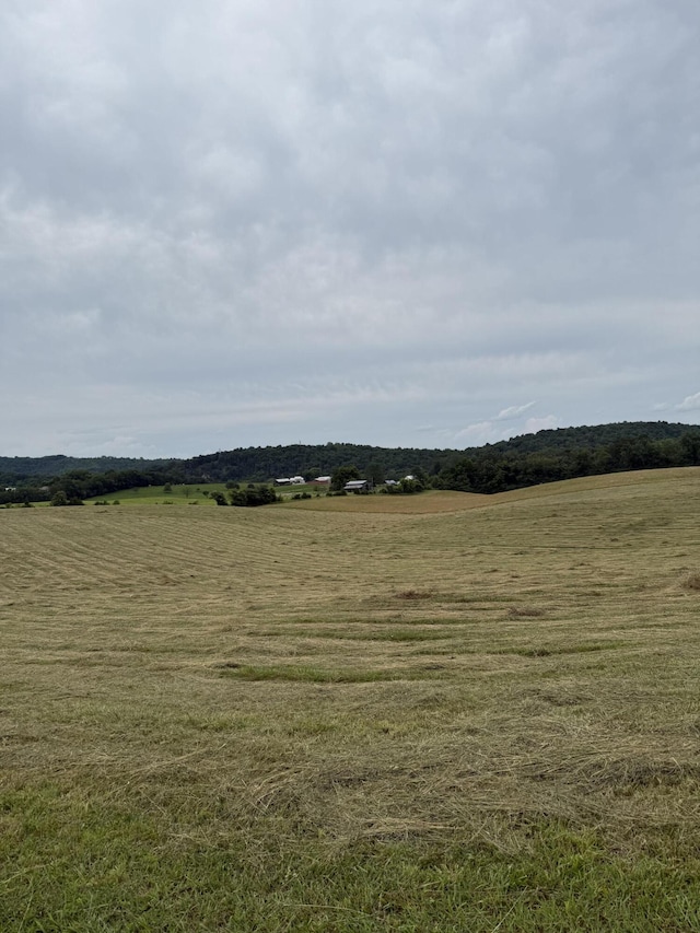378-A Rocky Top Rd, Newport, TN 37821