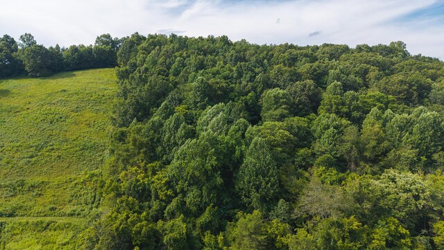 0 Gravely Valley Rd, Eidson, TN 37731 - photo 12