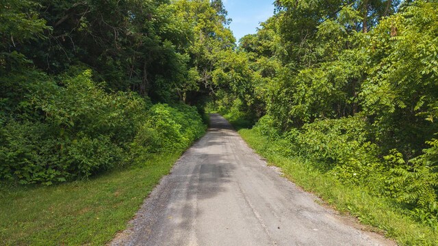 0 Gravely Valley Rd, Eidson, TN 37731 - photo 7
