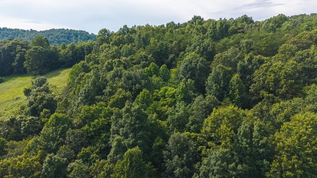 0 Gravely Valley Rd, Eidson, TN 37731 - photo 13
