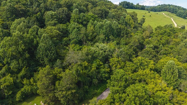 0 Gravely Valley Rd, Eidson, TN 37731 - photo 11