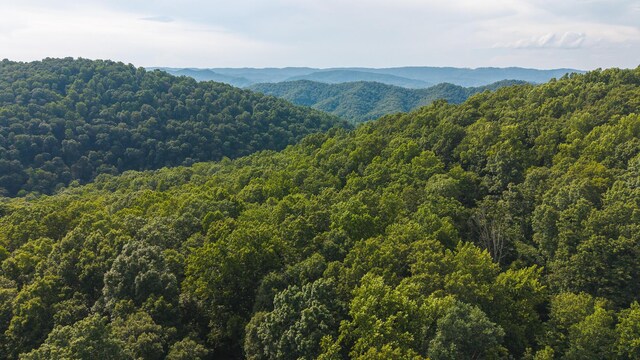 0 Gravely Valley Rd, Eidson, TN 37731 - photo 14