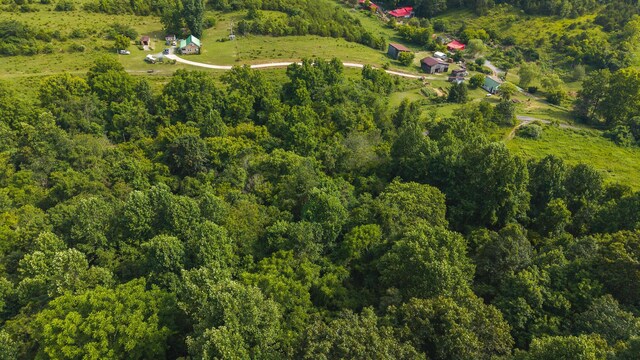 0 Gravely Valley Rd, Eidson, TN 37731 - photo 18