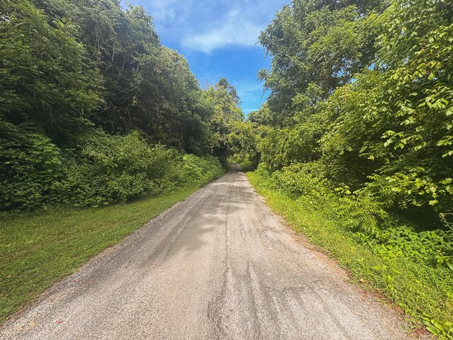 0 Gravely Valley Rd, Eidson, TN 37731 - photo 28