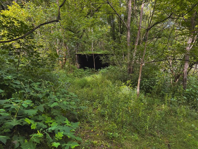 0 Gravely Valley Rd, Eidson, TN 37731 - photo 30
