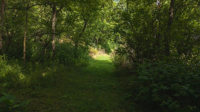 0 Gravely Valley Rd, Eidson, TN 37731 - photo 10