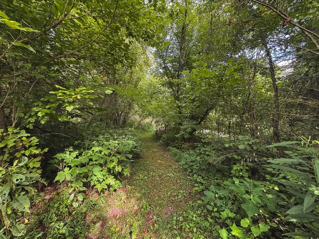 0 Gravely Valley Rd, Eidson, TN 37731 - photo 29