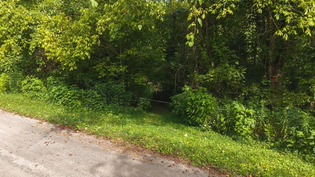 0 Gravely Valley Rd, Eidson, TN 37731 - photo 8
