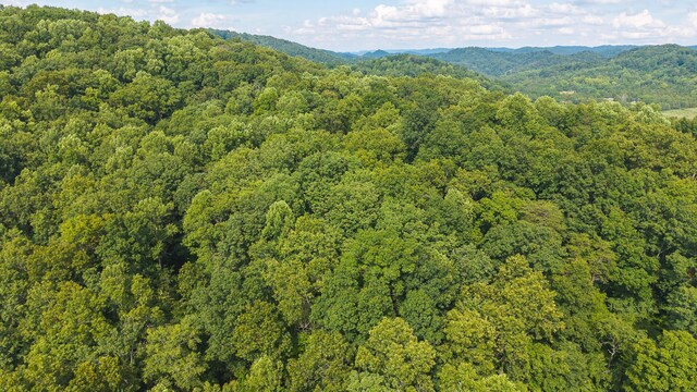 0 Gravely Valley Rd, Eidson, TN 37731 - photo 4