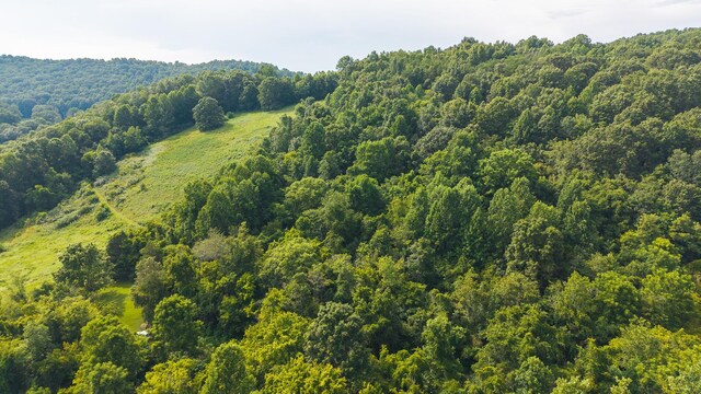 0 Gravely Valley Rd, Eidson, TN 37731 - photo 21