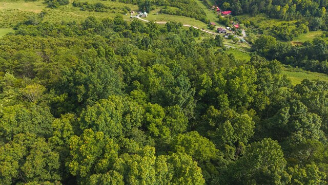 0 Gravely Valley Rd, Eidson, TN 37731 - photo 6