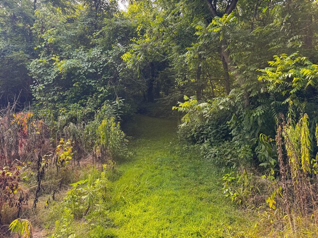 0 Gravely Valley Rd, Eidson, TN 37731 - photo 32
