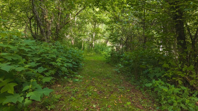 0 Gravely Valley Rd, Eidson, TN 37731 - photo 9