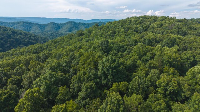 0 Gravely Valley Rd, Eidson, TN 37731 - photo 3