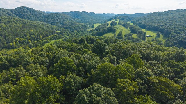 0 Gravely Valley Rd, Eidson, TN 37731 - photo 15