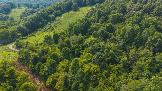 0 Gravely Valley Rd, Eidson, TN 37731 - photo 20