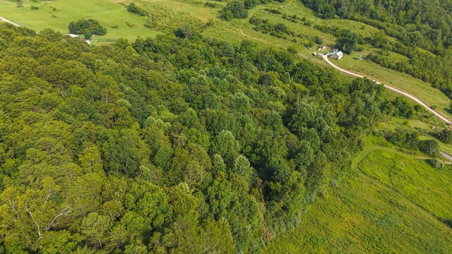 0 Gravely Valley Rd, Eidson, TN 37731 - photo 5