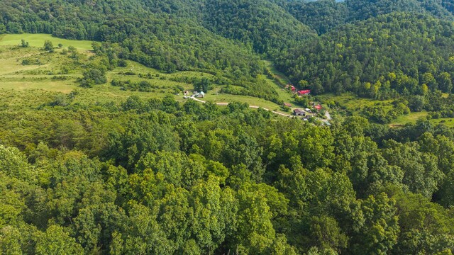 0 Gravely Valley Rd, Eidson, TN 37731 - photo 17