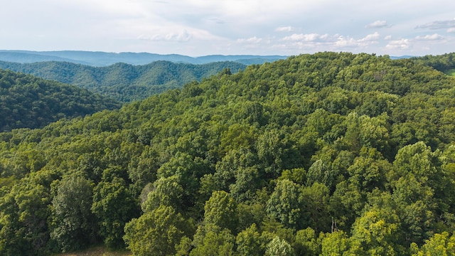 0 Gravely Valley Rd, Eidson, TN 37731 - photo 1