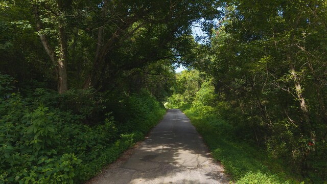 0 Gravely Valley Rd, Eidson, TN 37731 - photo 25