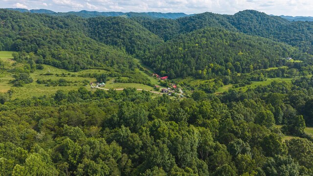 0 Gravely Valley Rd, Eidson, TN 37731 - photo 16