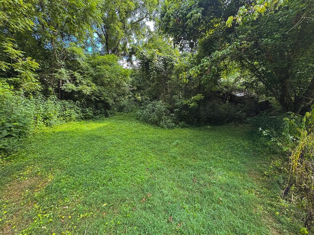 0 Gravely Valley Rd, Eidson, TN 37731 - photo 33