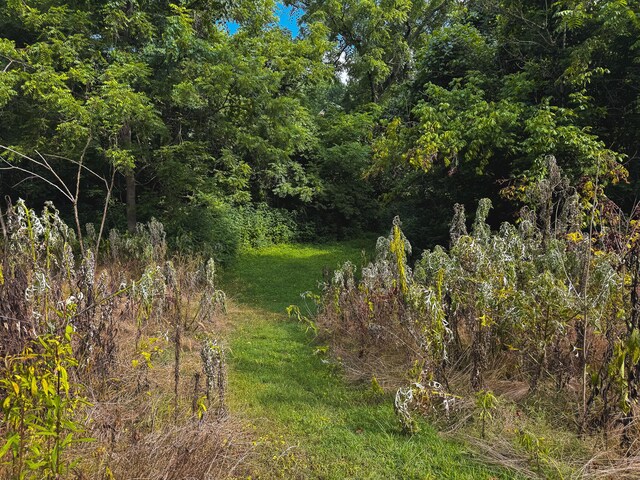 0 Gravely Valley Rd, Eidson, TN 37731 - photo 31