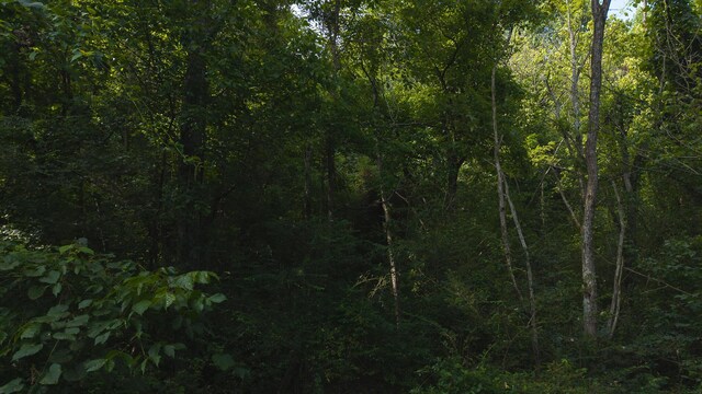 0 Gravely Valley Rd, Eidson, TN 37731 - photo 26