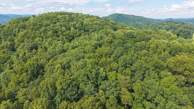 0 Gravely Valley Rd, Eidson, TN 37731 - photo 2