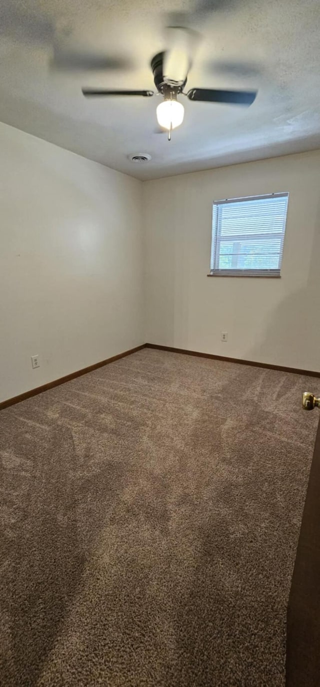 970 Reed Bull Rd, New Market, TN 37820 - photo 10