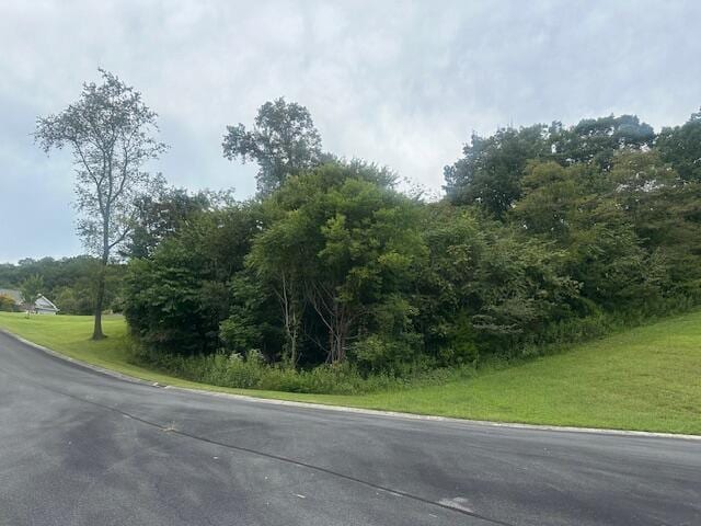 LOT203R Harbor Pt, Mooresburg TN, 37811 land for sale