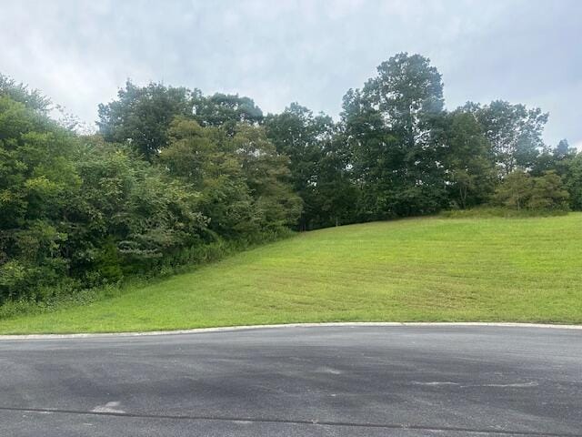 Listing photo 2 for LOT203R Harbor Pt, Mooresburg TN 37811