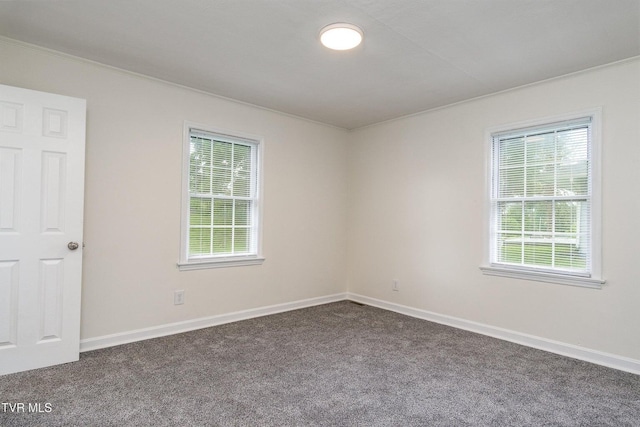 402 Crockett Ln, Greeneville, TN 37745 - photo 23