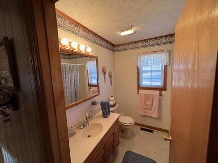 515 Mountain Lake Way, Newport, TN 37821 - full bath with toilet, a healthy amount of sunlight, vanity, and a textured ceiling