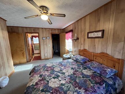 515 Mountain Lake Way, Newport, TN 37821 - carpeted bedroom featuring a textured ceiling, wood walls, and multiple windows