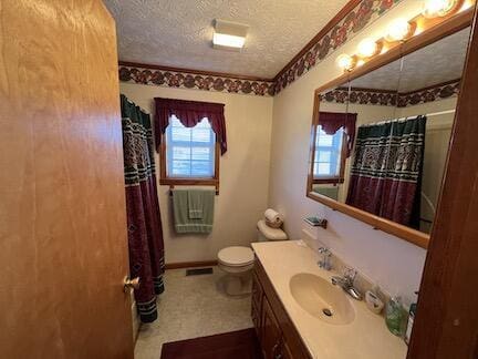 515 Mountain Lake Way, Newport, TN 37821 - bathroom with toilet, a wealth of natural light, vanity, and a textured ceiling