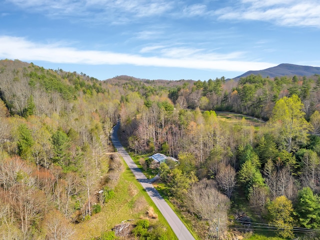 490 Viking Mountain Rd, Greeneville, TN 37743 - photo 36