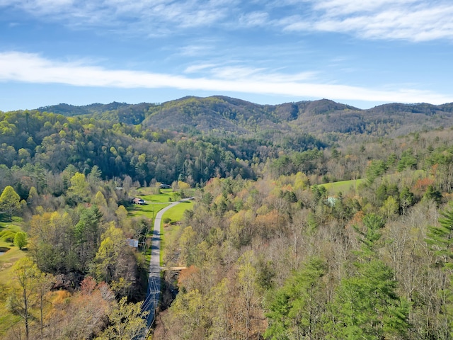490 Viking Mountain Rd, Greeneville, TN 37743 - photo 28