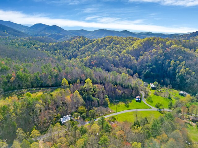 490 Viking Mountain Rd, Greeneville, TN 37743 - photo 30