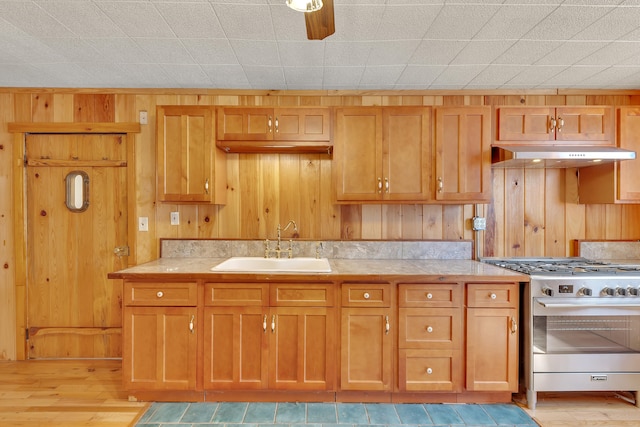 490 Viking Mountain Rd, Greeneville, TN 37743 - photo 5