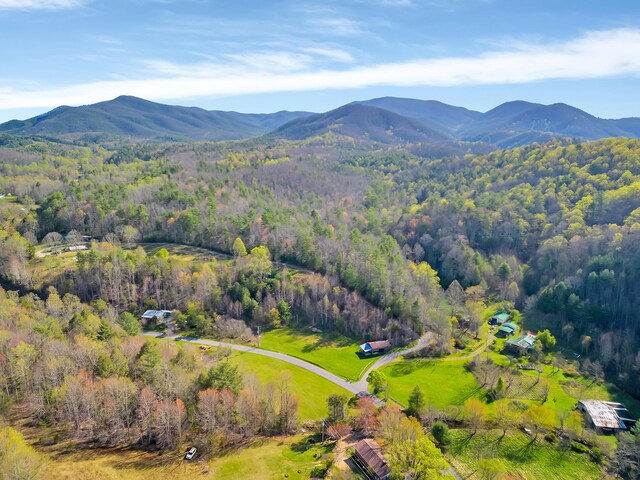 490 Viking Mountain Rd, Greeneville, TN 37743 - photo 32