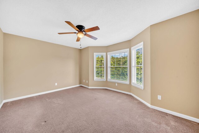2950 Brights Pike, Morristown, TN 37814 - photo 14