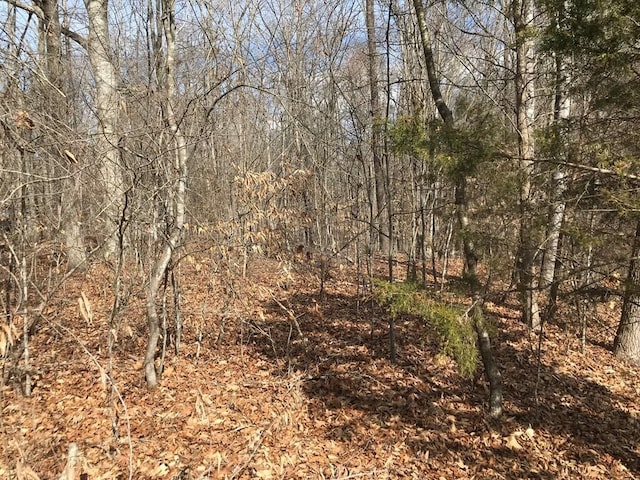 00 Devon Way Rd, Baneberry, TN 37890