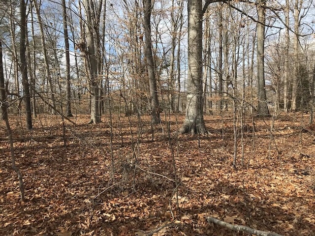 00 Devon Way Rd, Baneberry, TN 37890