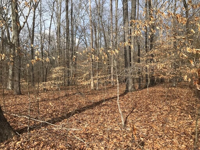 00 Devon Way Rd, Baneberry, TN 37890