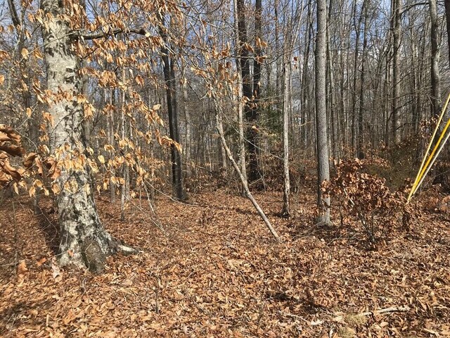 00 Devon Way Rd, Baneberry, TN 37890
