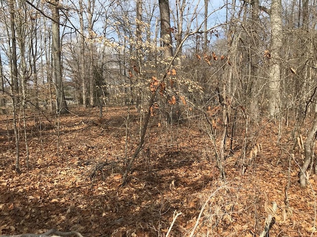 00 Devon Way Rd, Baneberry, TN 37890