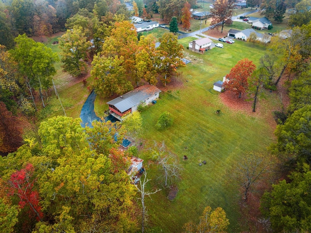 bird's eye view