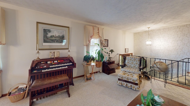 living area featuring carpet and a textured ceiling