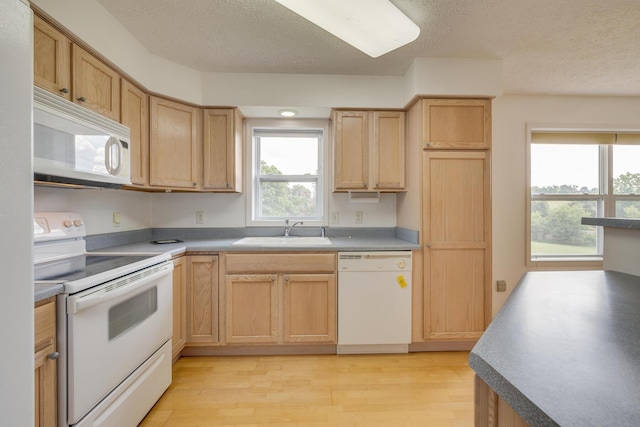 kitchen featuring sink, light brown cabinets, white appliances, and light wood-type flooring